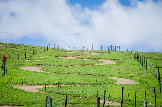 Wenlock Downs 9th Mile Shooting Point